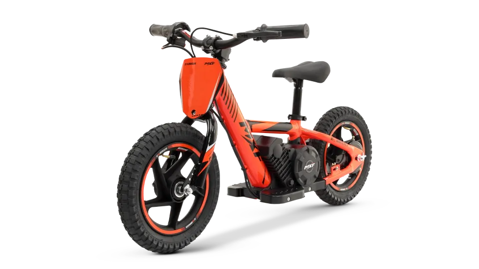 E-BIKER 12