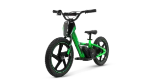 E-BIKER 16