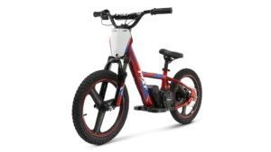 E-BIKER 16