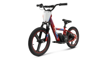 E-BIKER 16