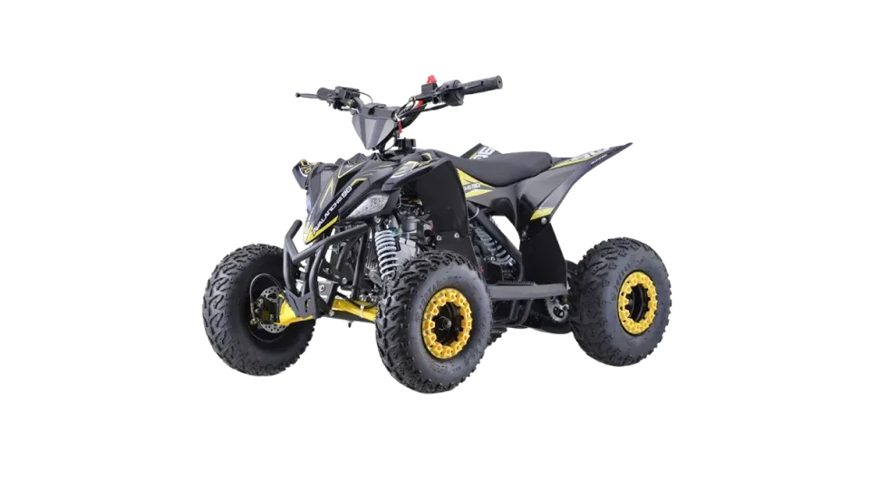 avalanche902