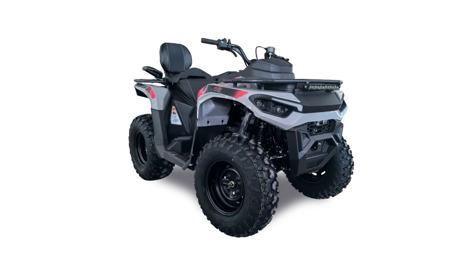dakar3003