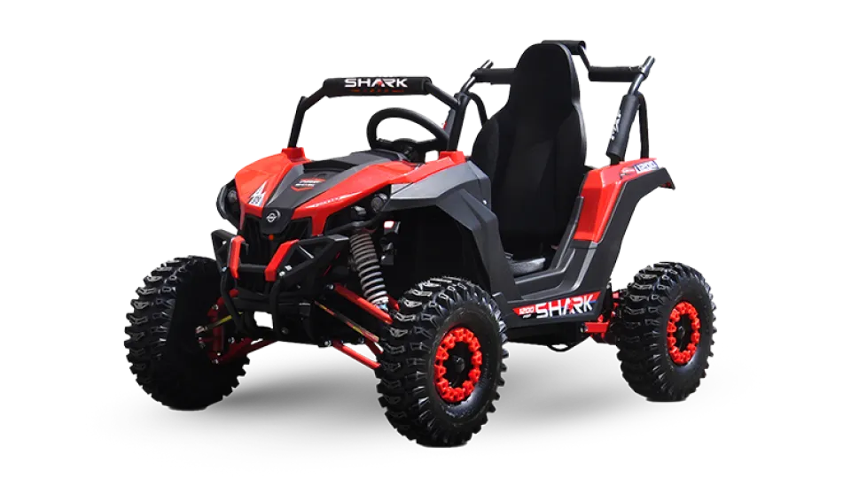 shark12009-1