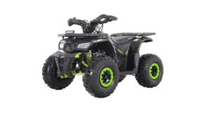 BRAVE 125 EFI