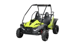 Mini Buggy MudHead SE